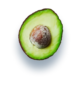 Avacado